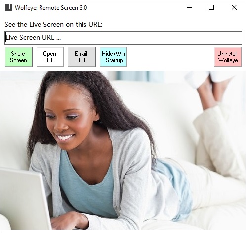 screenshot of Wolfeye Remote Screen